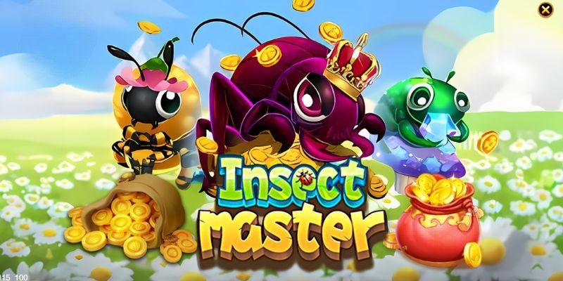 Tổng hợp các loại hình hấp dẫn tại hệ thống