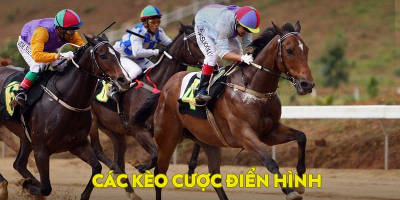 Các kèo đấu điển hình