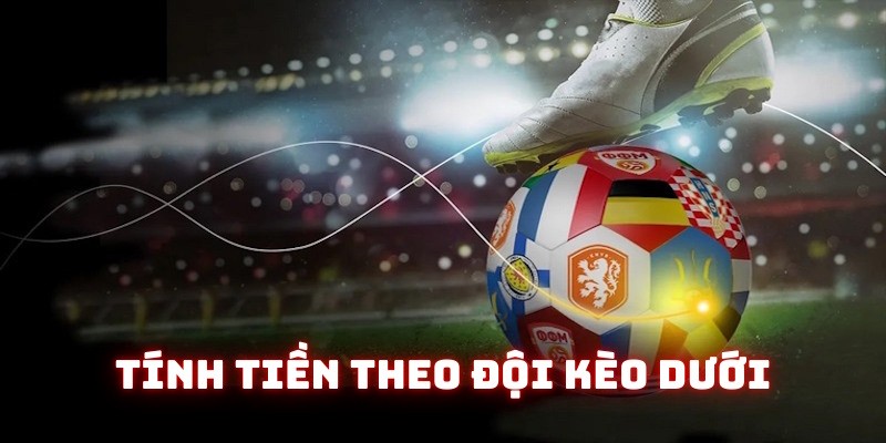 Tính tiền theo đội cửa dưới trong kèo chấp 1 trái
