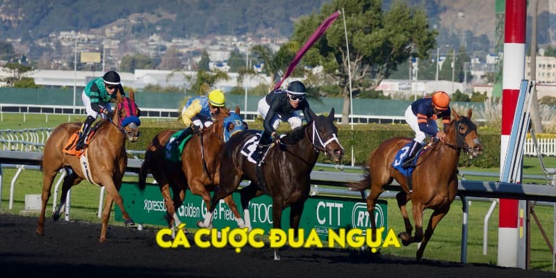 các cược đua ngựa